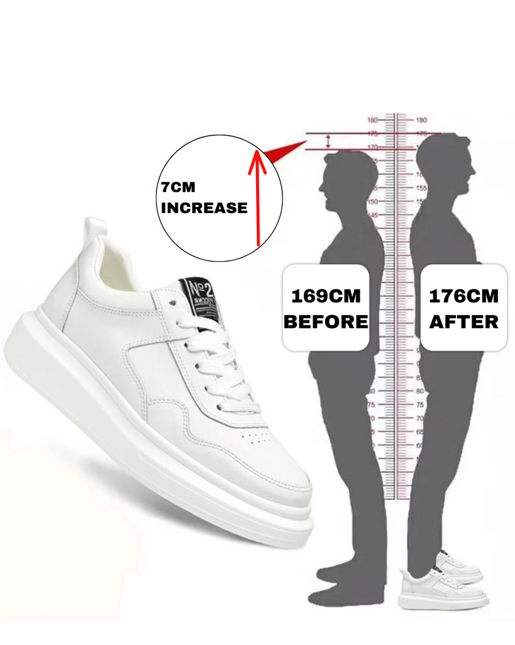 ALTO Height Accessories